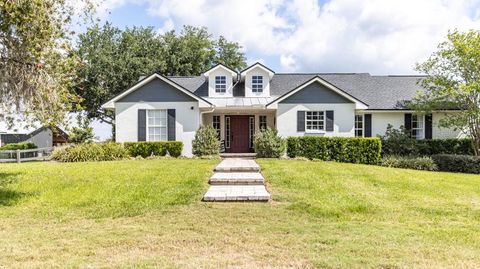 Photo of 812 Jameson Road, Lithia, FL 33547 (MLS # TB8380215) Photo of 812 Jameson Road, Lithia, FL 33547 (MLS # TB8380215)