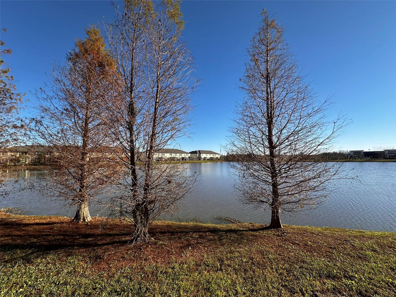 WINDERMERE ESTATES - Residential