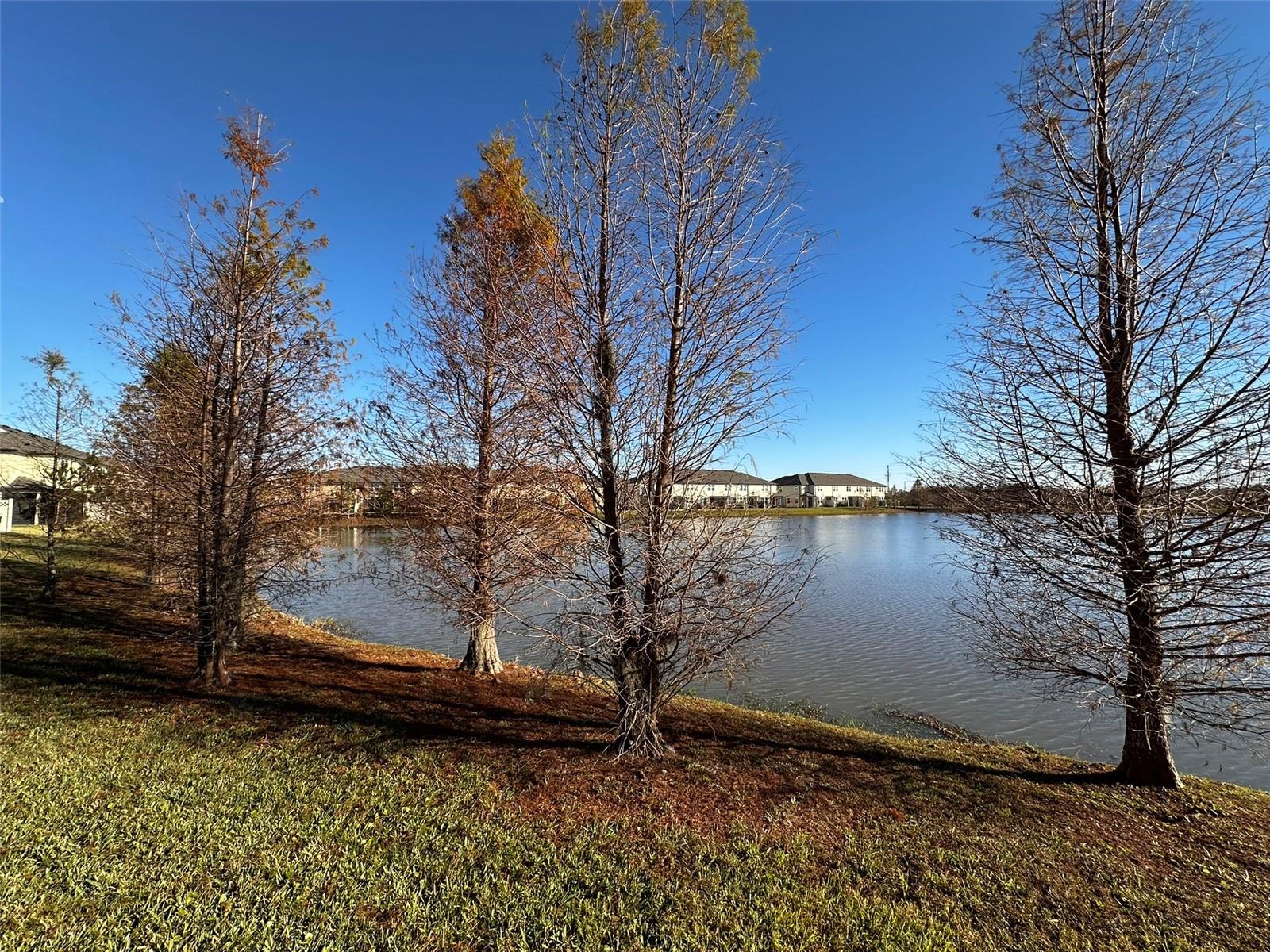 WINDERMERE ESTATES - Residential