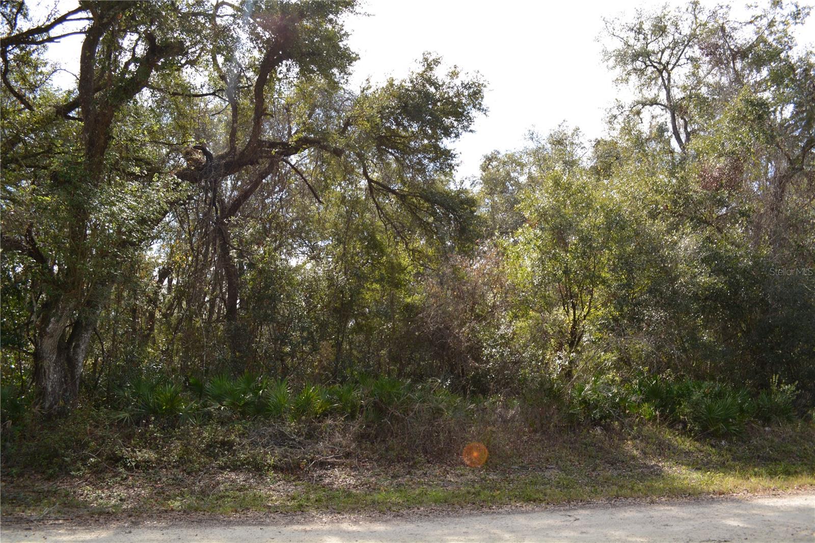 Under contract-accepting backup offers. Beautiful, wooded lot ready for your dream home. No HOA, secluded yet convenient to major highways (US 301 to Hwy 50) leading to I-75 for a quick commute to Tampa or Orlando