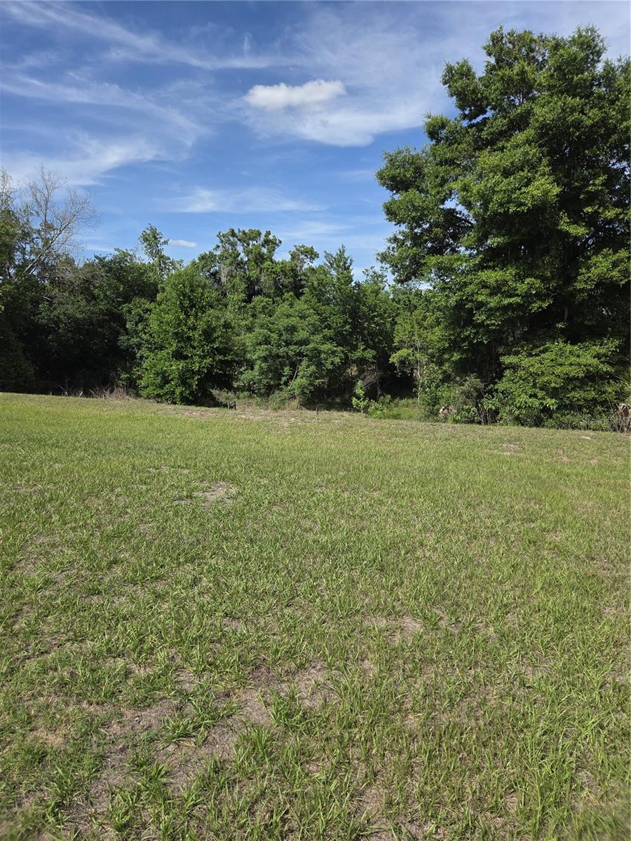 VILLAGE/GRESHAM FARMS - Residential