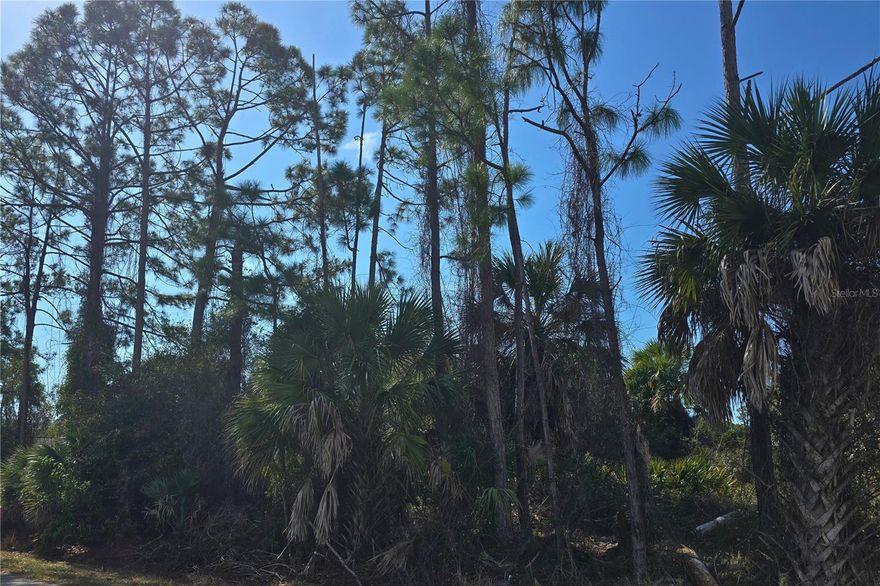 Build your dream home on this prime 10,000 sq. ft. residential lot (80'x125') in a rapidly growing area of North Port. This property is NOT on the current City of North Port scrub jay list, offering a simpler path to development with no additional scrub jay mitigation fees. Buyer to verify with Sarasota county. Located in a quiet neighborhood with NO HOA or CDD fees, you’ll enjoy the freedom to build your custom Florida retreat. This lot is perfectly positioned just a short drive from the vibrant Wellen Park, featuring high-end dining, shopping, and the state-of-the-art CoolToday Park, home of the Atlanta Braves Spring Training. Zoned for top-rated schools including Atwater Elementary, Woodland Middle, and North Port High (Cambridge AICE program). High, dry, and ready for your vision—drive by today!