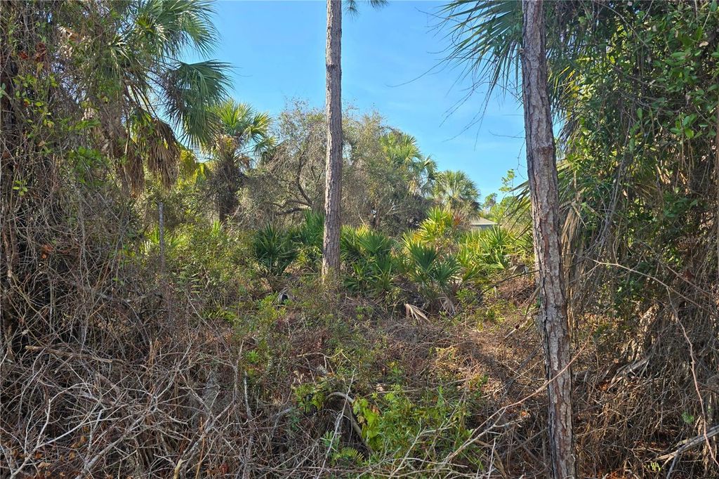 Photo of 29 Allegheny Lane, North Port, FL 34286 (MLS # N6143154)