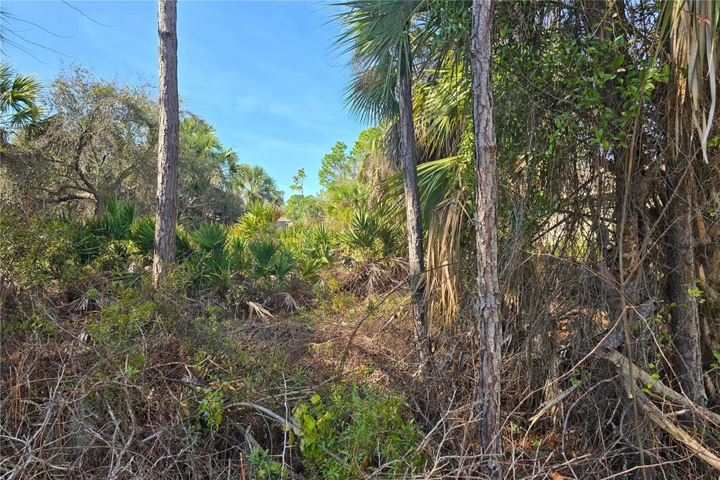 Photo of 29 Allegheny Lane, North Port, FL 34286 (MLS # N6143154)