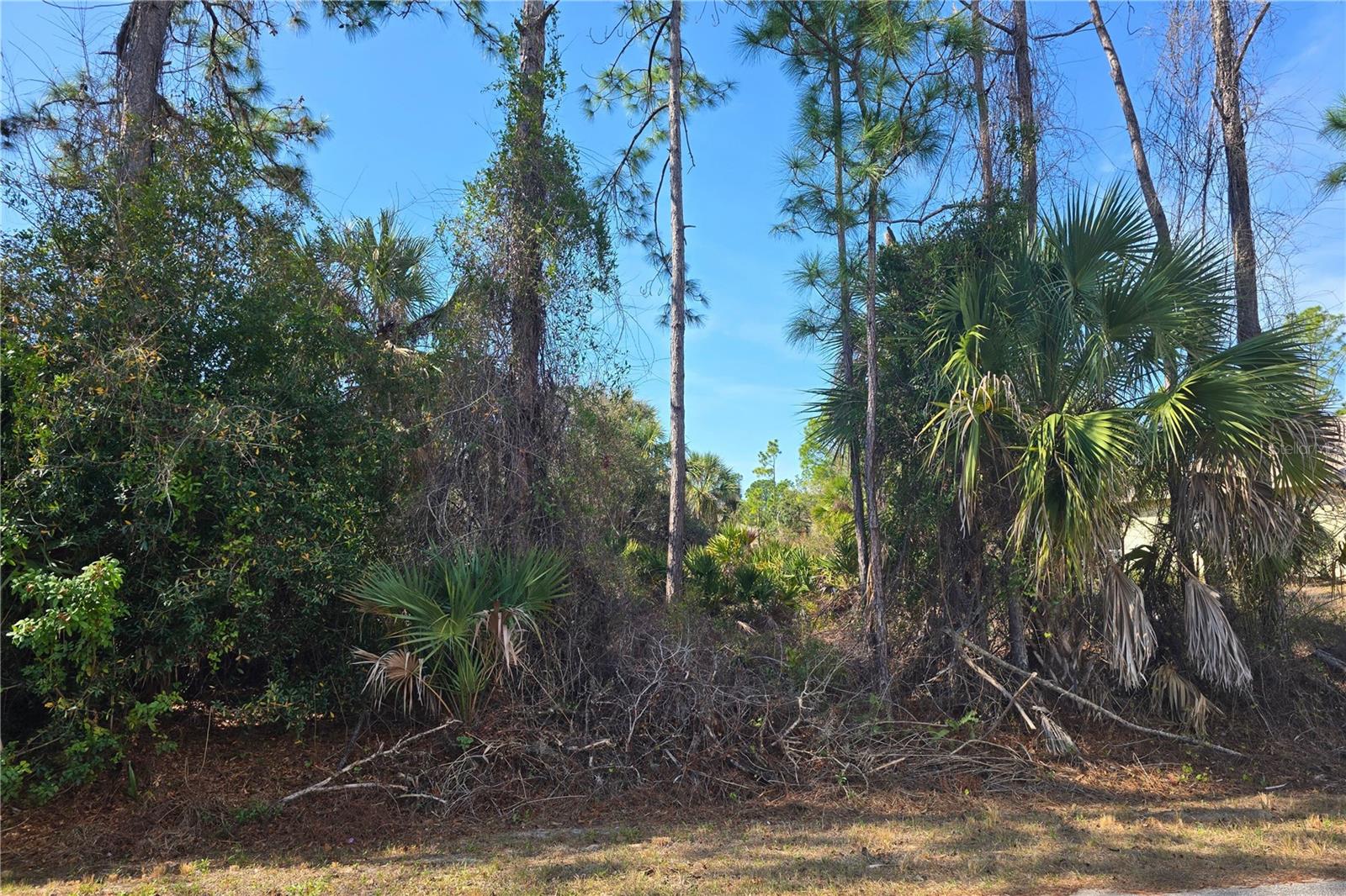 PORT CHARLOTTE SUB 07 - Land