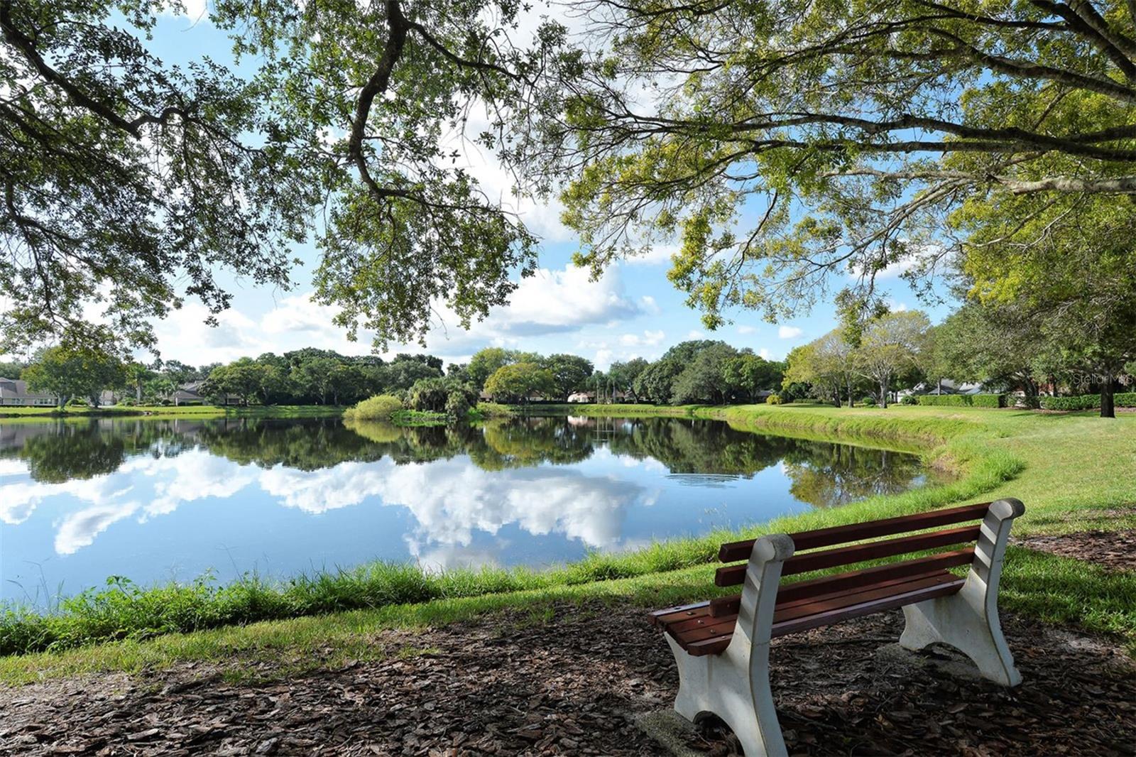 ISLES OF CHESTNUT CREEK - Residential