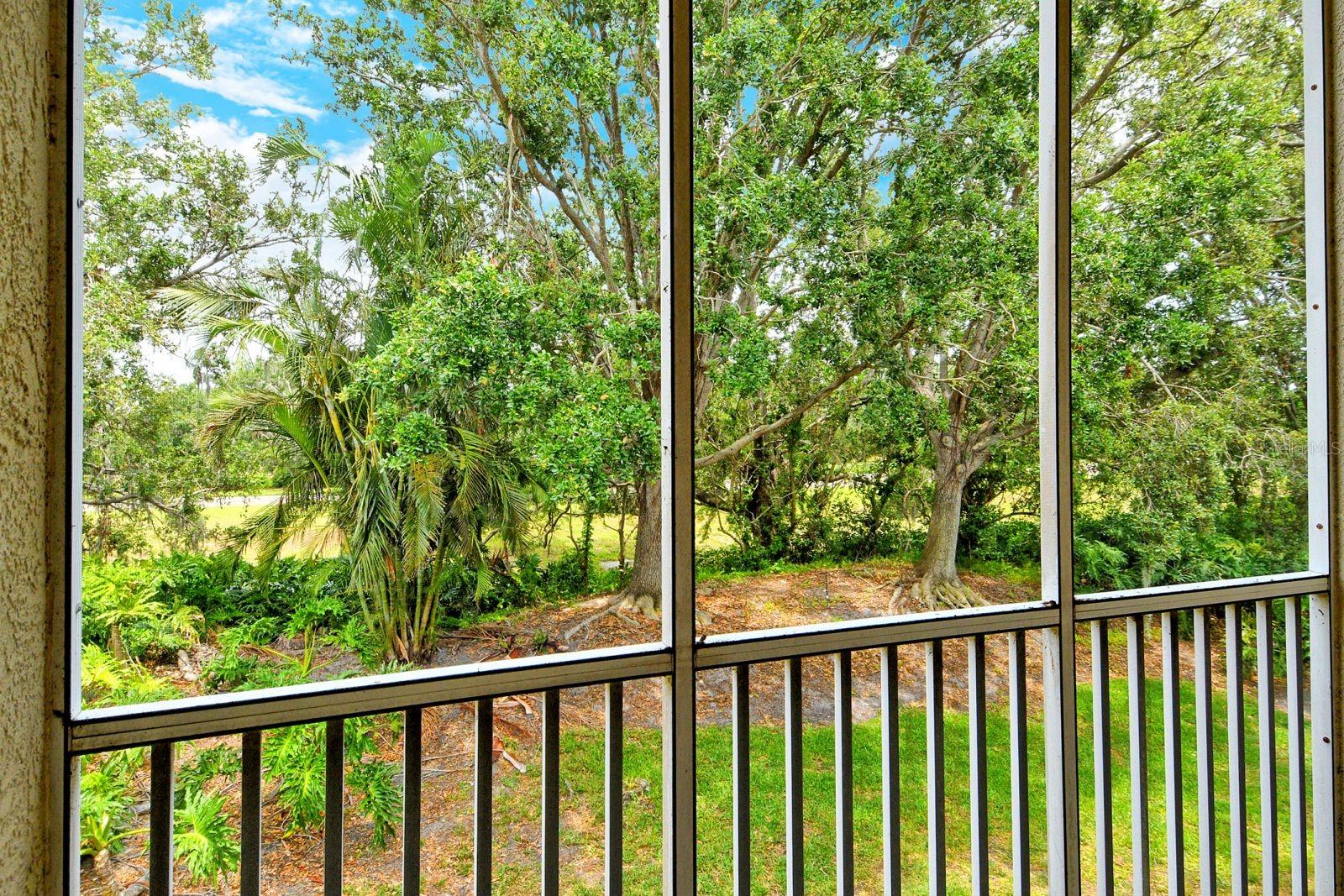 PINESTONE AT PALMER RANCH - Residential