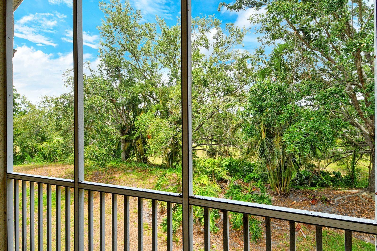 PINESTONE AT PALMER RANCH - Residential