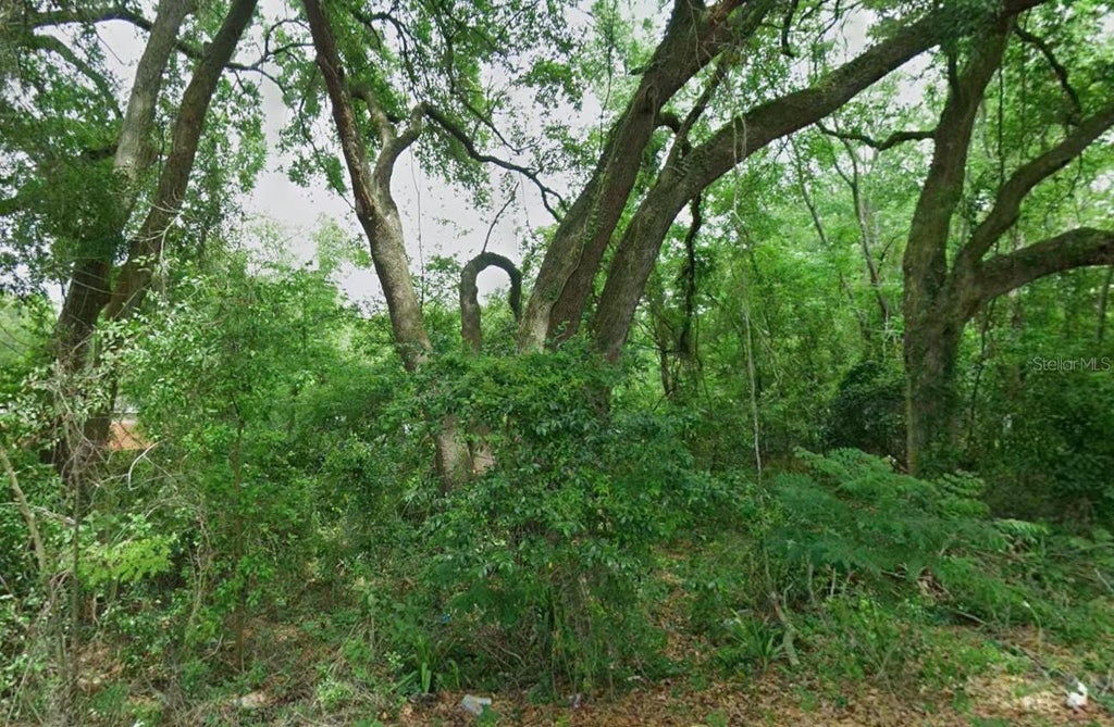 Photo of 64 NE 162 Street, Citra, FL 32113 (MLS # OM734187)