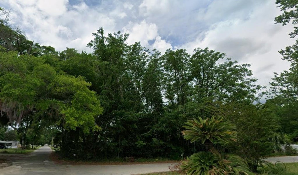 Photo of 64 NE 162 Street, Citra, FL 32113 (MLS # OM734187)
