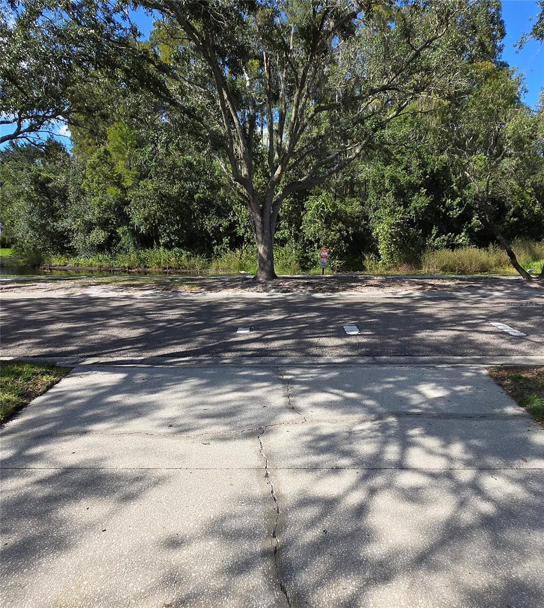 9707 CYPRESS SHADOW AVENUE