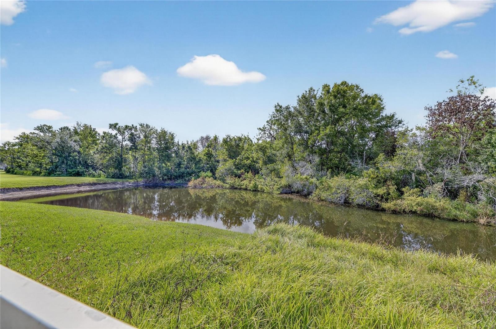 MEADOW POINTE 04 PRCL J - Residential