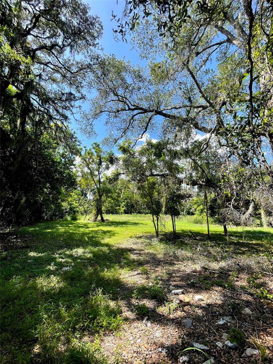 Photo of 194 E 11th Street, Apopka, FL 32703 (MLS # O6429706)