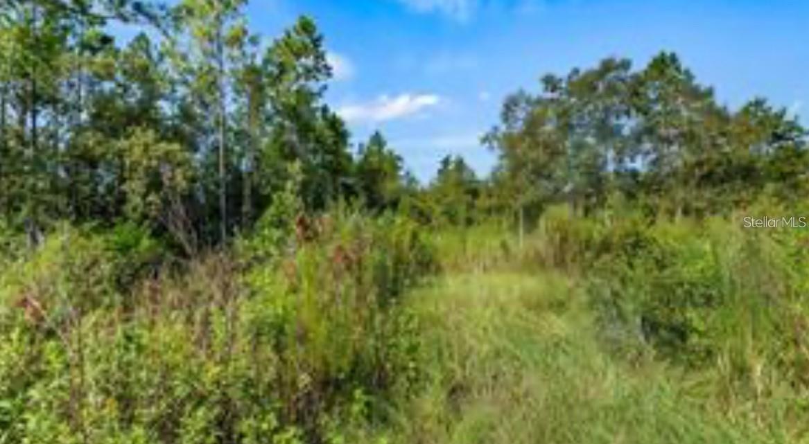 ACREAGE & UNREC - Land