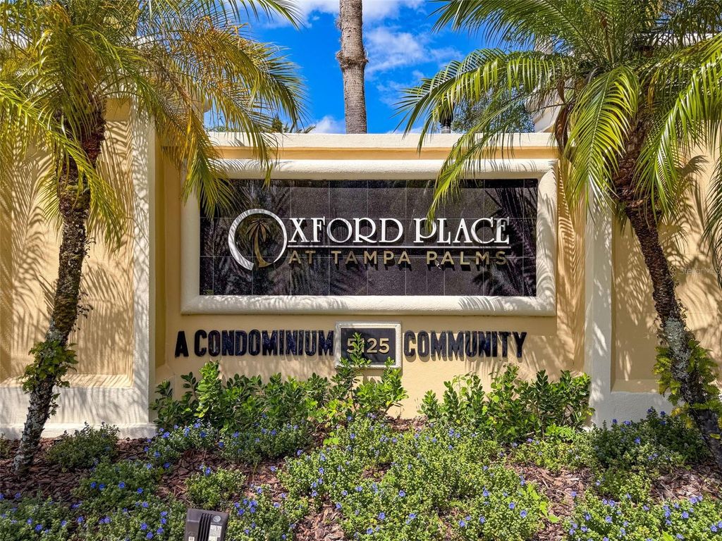 Photo of 5125 Palm Springs Boulevard #3108, Tampa, FL 33647 (MLS # TB8393802)