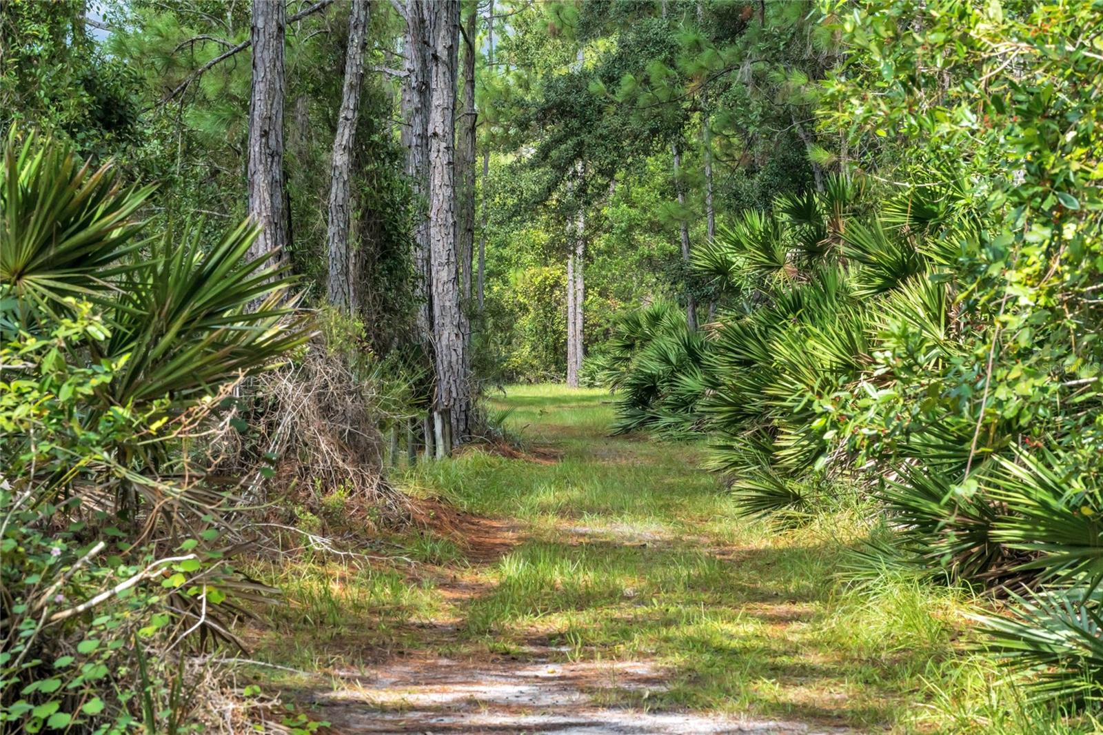 LAKE GEORGE PINES UNREC PH 01-03 - Land