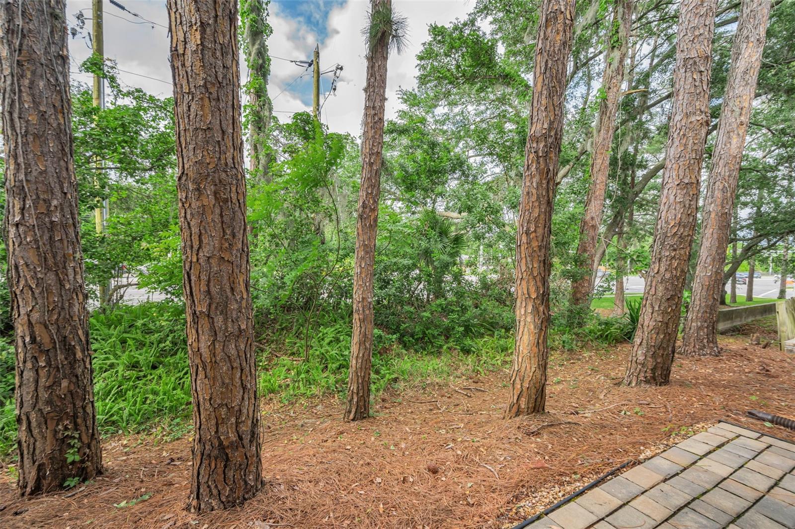 COUNTRYSIDE WOODS - Residential