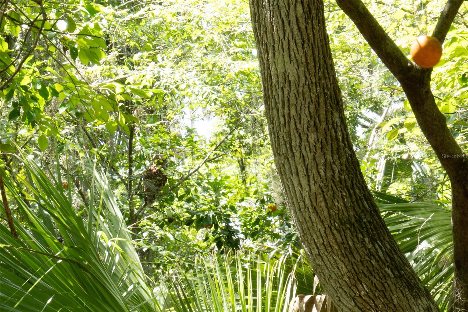 THE S 1/2 OF N 1/2 OF SE 1/4 OF NW 1/4 - Residential