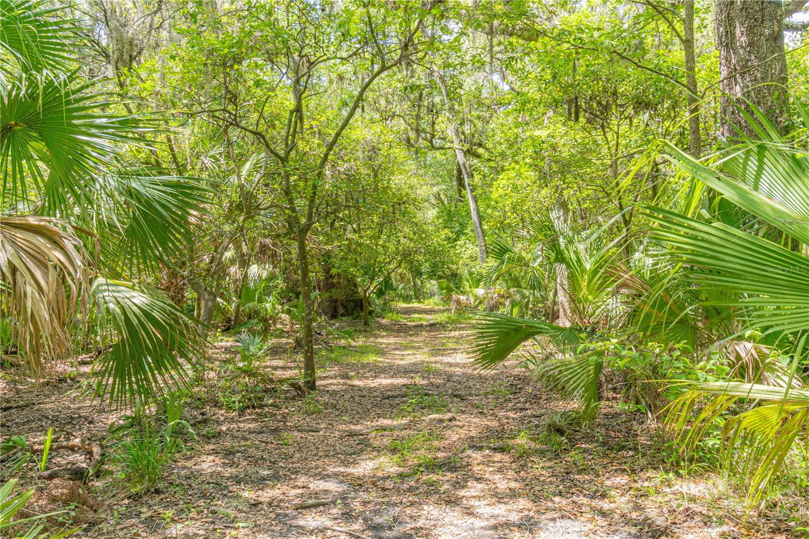 THE S 1/2 OF N 1/2 OF SE 1/4 OF NW 1/4 - Residential