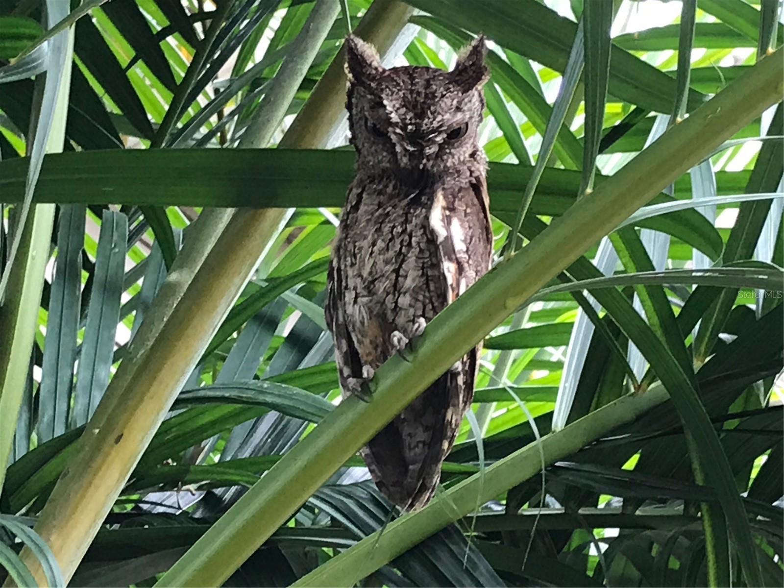 THE S 1/2 OF N 1/2 OF SE 1/4 OF NW 1/4 - Residential