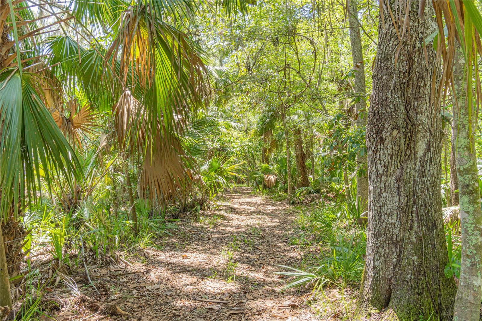 THE S 1/2 OF N 1/2 OF SE 1/4 OF NW 1/4 - Residential