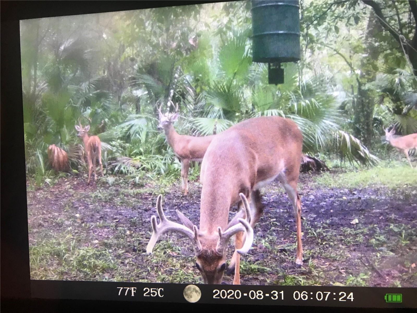 THE S 1/2 OF N 1/2 OF SE 1/4 OF NW 1/4 - Residential