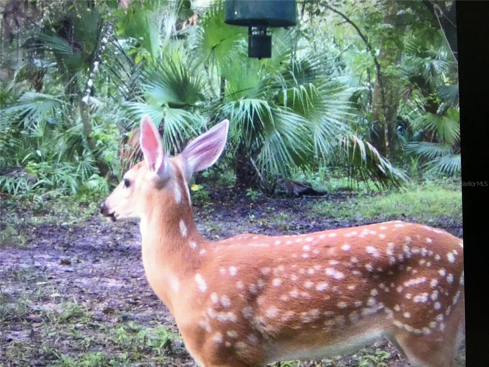 THE S 1/2 OF N 1/2 OF SE 1/4 OF NW 1/4 - Residential