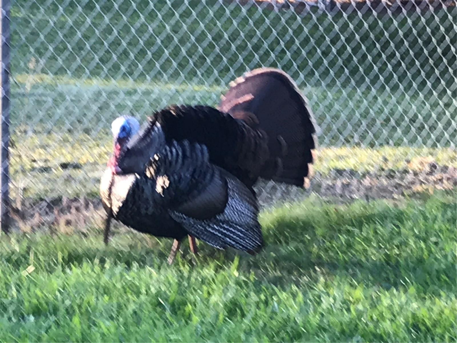 THE S 1/2 OF N 1/2 OF SE 1/4 OF NW 1/4 - Residential