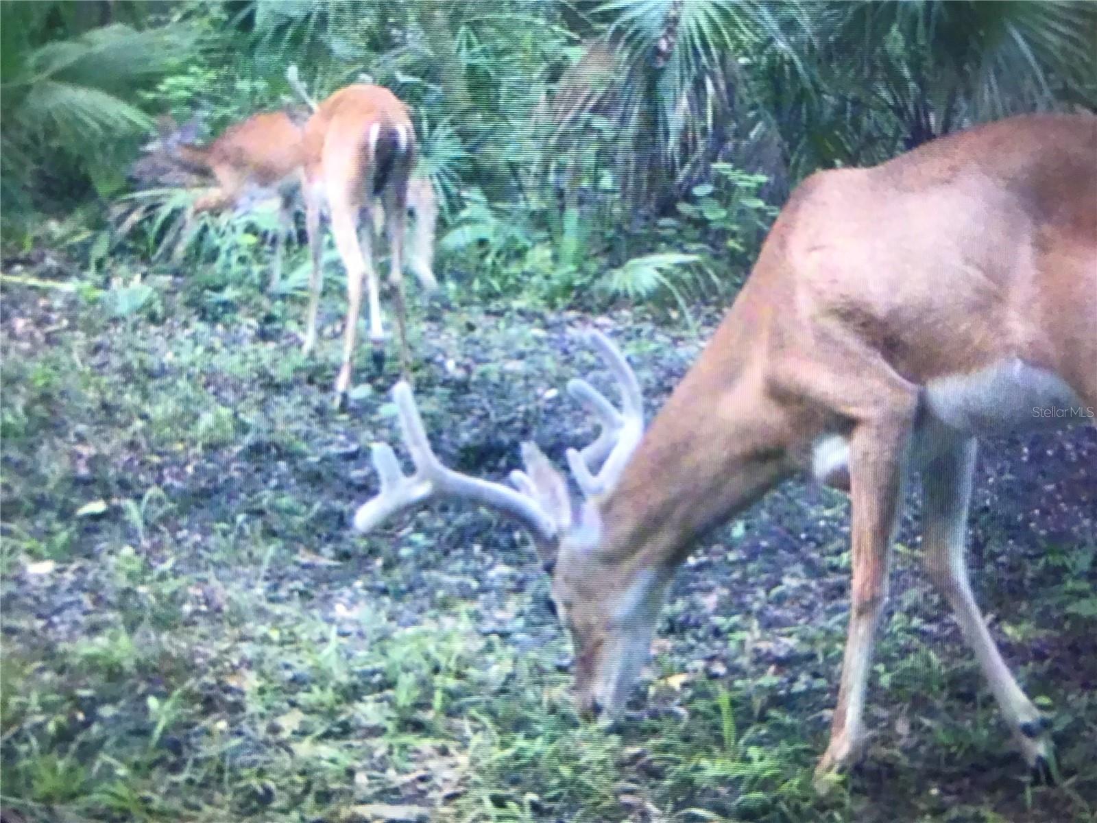 THE S 1/2 OF N 1/2 OF SE 1/4 OF NW 1/4 - Residential