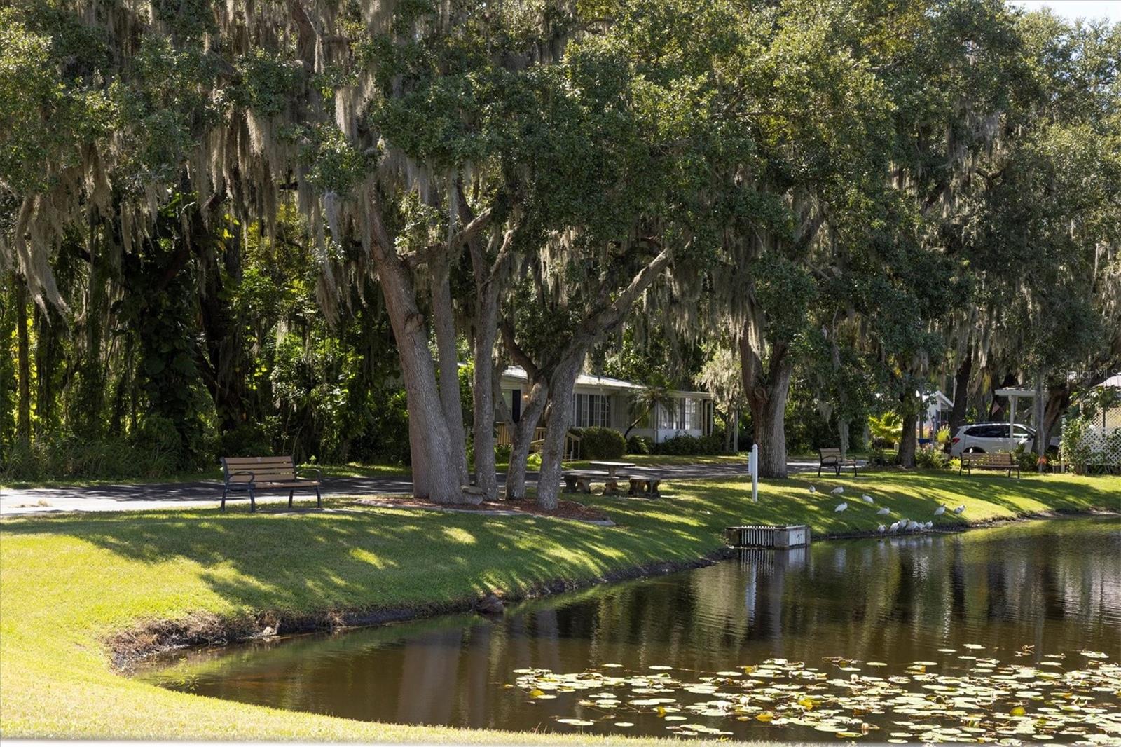 TERRA SIESTA MOBILE HOME PARK CO-OP - Residential