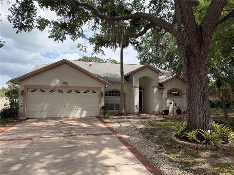 Photo of 9508 Glenpointe Drive, Riverview, FL 33569 (MLS # S5146870)