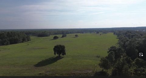 Tiny photo for Lot B Burhans Road, Eustis, FL 32736 (MLS # O6237253)