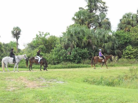 Tiny photo for Lot B Burhans Road, Eustis, FL 32736 (MLS # O6237253)
