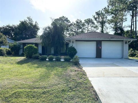 A home in PALM COAST