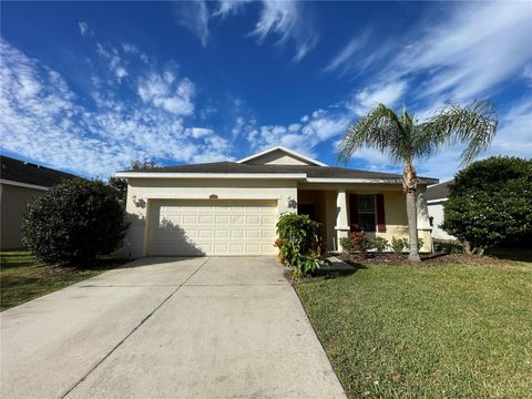 12218 FAIRLAWN DRIVE RIVERVIEW FL 33579