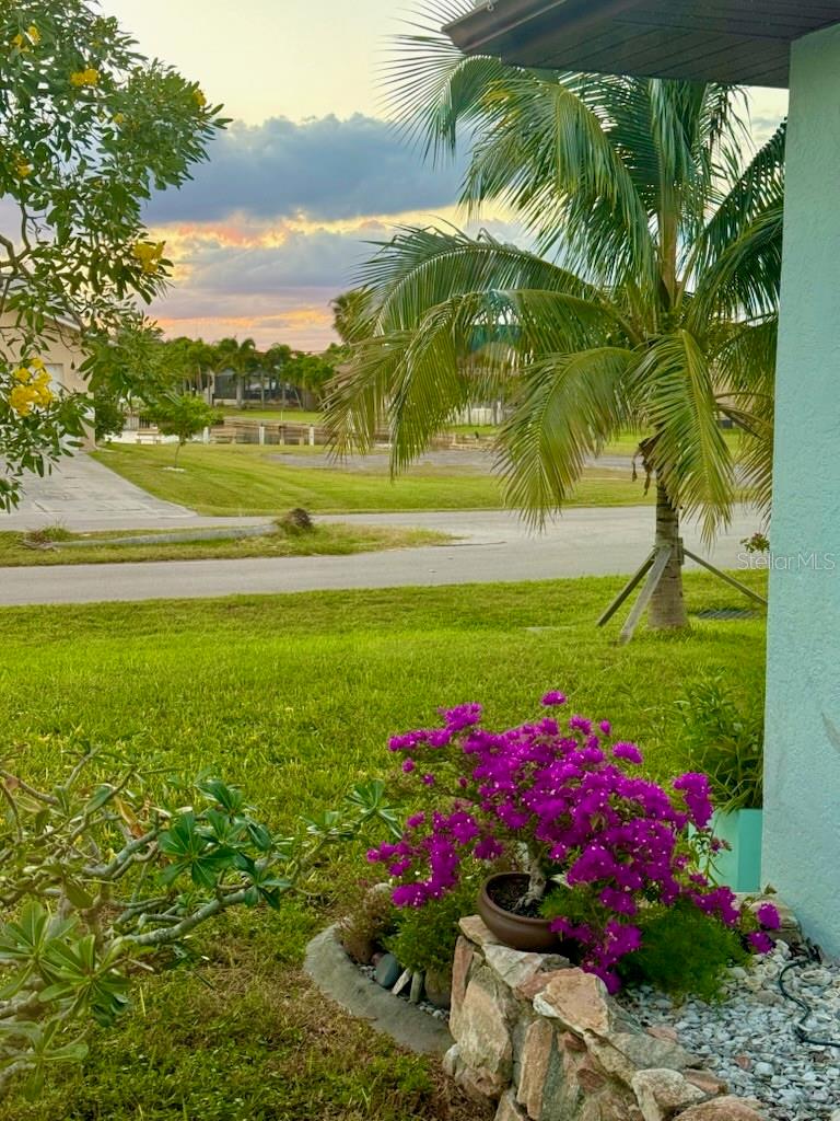 CHARLOTTE PARK - Residential