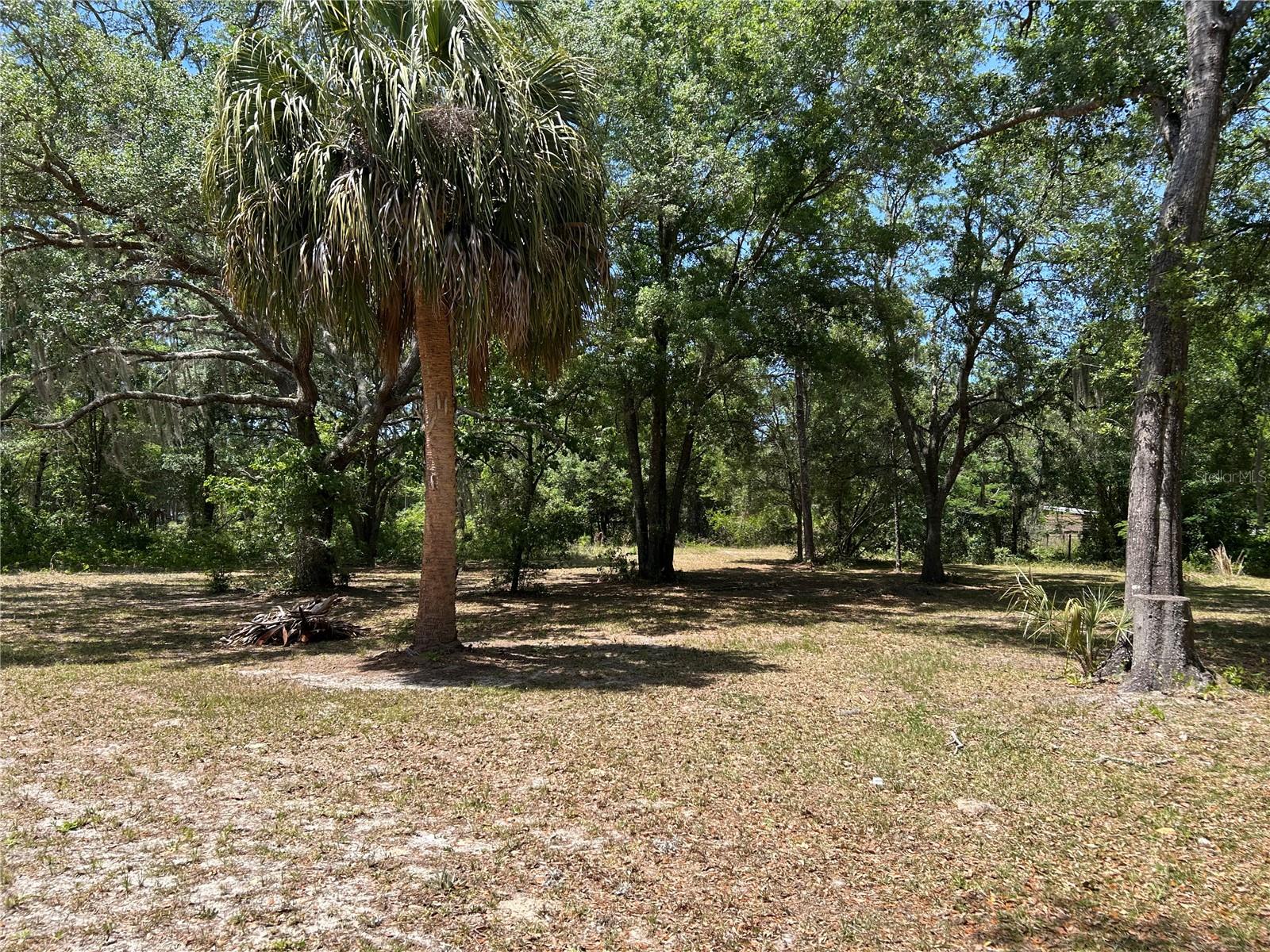 WOODLAND ACRES SUB - Residential