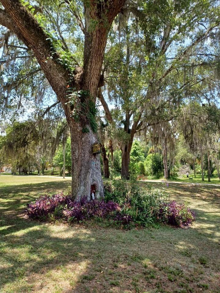 HIDDEN OAKS UNREC - Residential