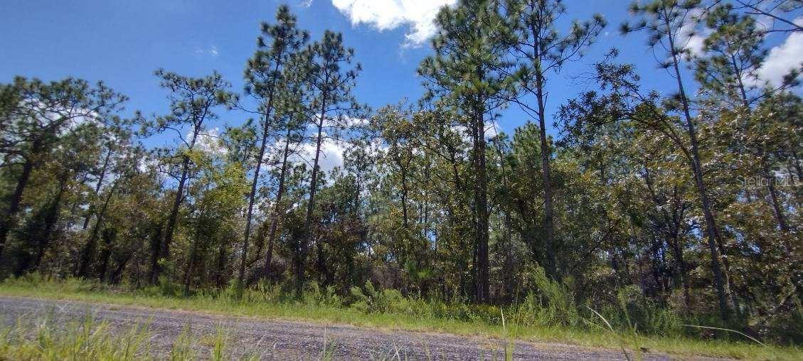 RAINBOW LAKES ESTATE - Land