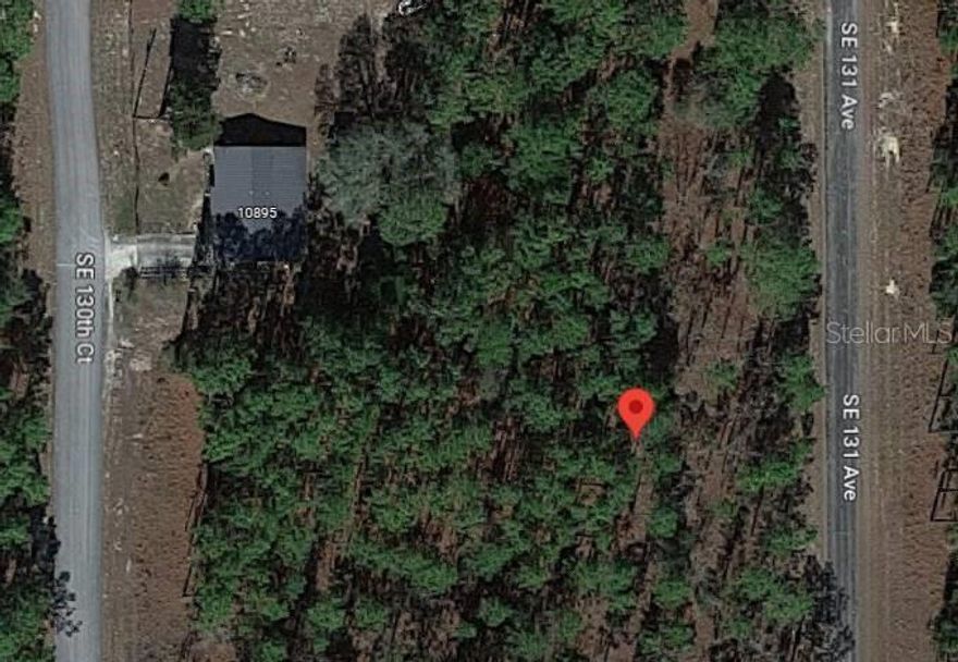 PRIVATE, HIGH AND DRY, LEVEL/FLAT, SECLUDED BUILDING LOT AT A GREAT PRICE! Located in Rainbow Lakes Estates which is the fantastic location in Dunnellon Florida to Live, Work or Play. SITE BUILT HOMES only, NO MOBILE HOMES. Plenty of Lakes nearby, Grocery Stores in local Proximity and Lots of New Development bringing in more infrastructure to the area. Buy this lot, enjoy low taxes with no timeline to build.  Hold as an investment or build the home of your dreams in the Sunshine State on this land.  Great piece of property!