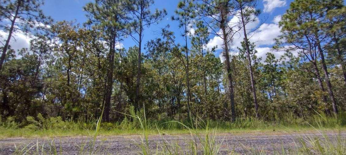 RAINBOW LAKES ESTATE - Land