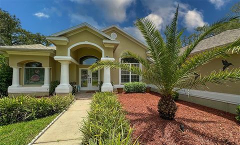 Photo of 13807 Eagles Rock Court, Hudson, FL 34667 (MLS # TB8395279)