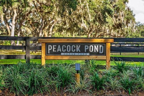 Tiny photo for 8583 NW 130th Street, Reddick, FL 32686 (MLS # OM715227)