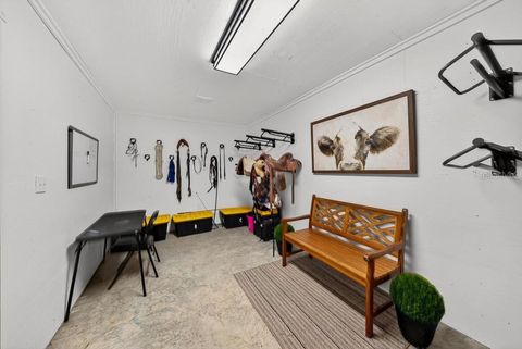 Tiny photo for 8583 NW 130th Street, Reddick, FL 32686 (MLS # OM715227)