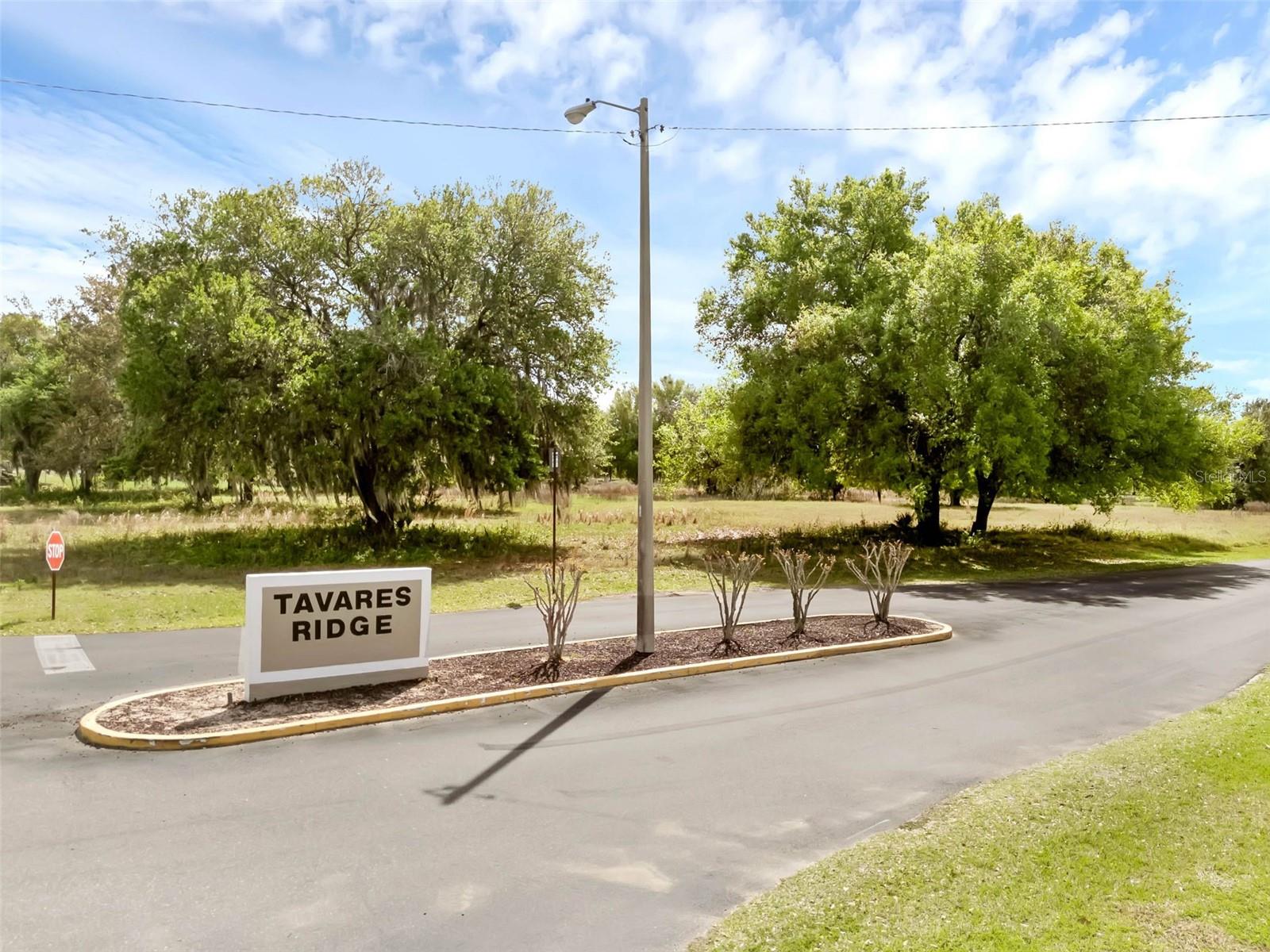 TAVARES RIDGE CONDO - Residential