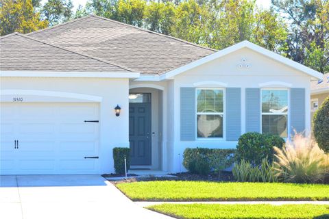 A home in WESLEY CHAPEL