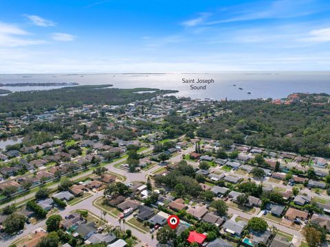 A home in TARPON SPRINGS