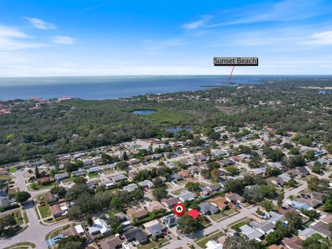 A home in TARPON SPRINGS