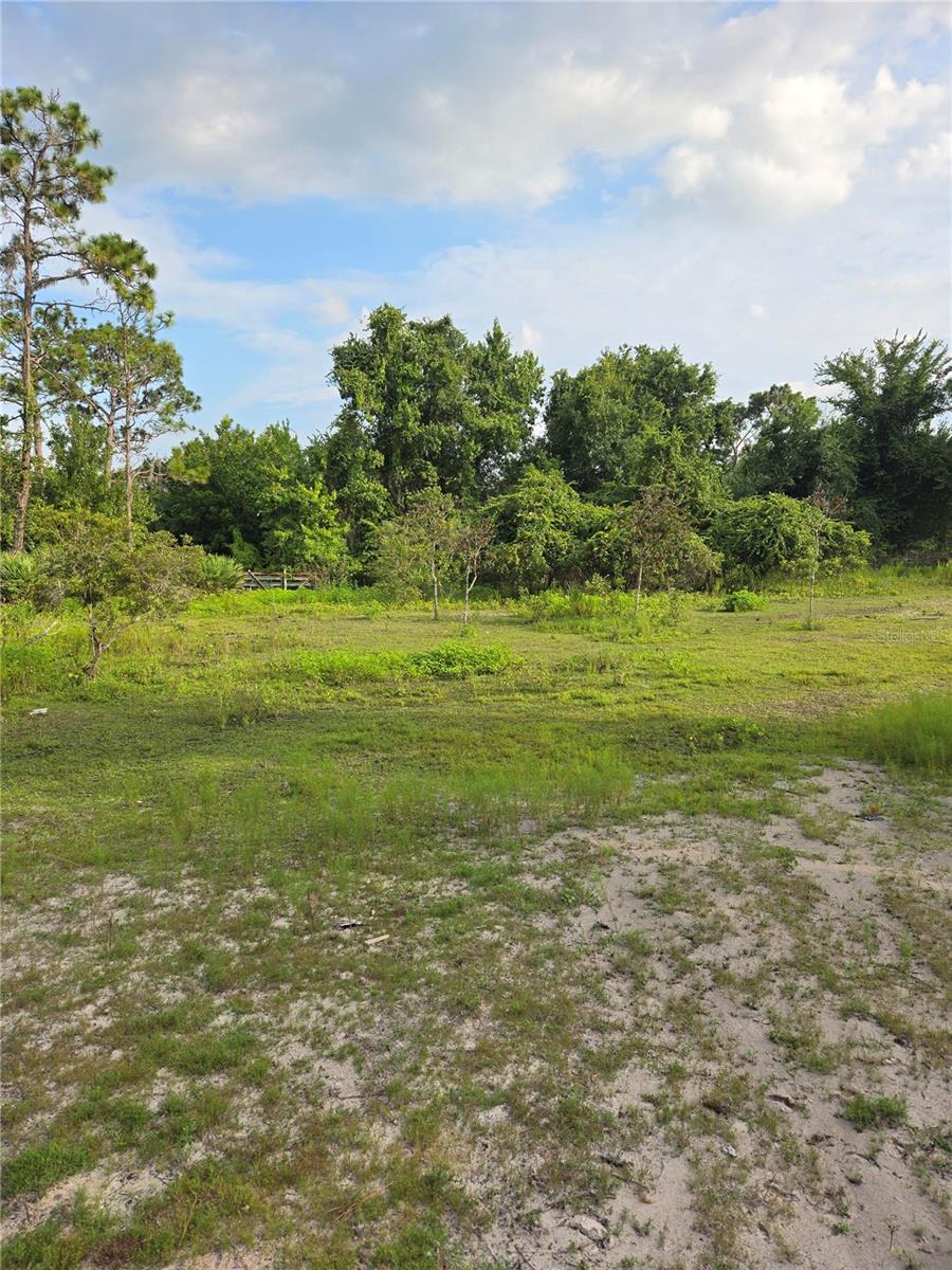 THE PINELANDS - Land