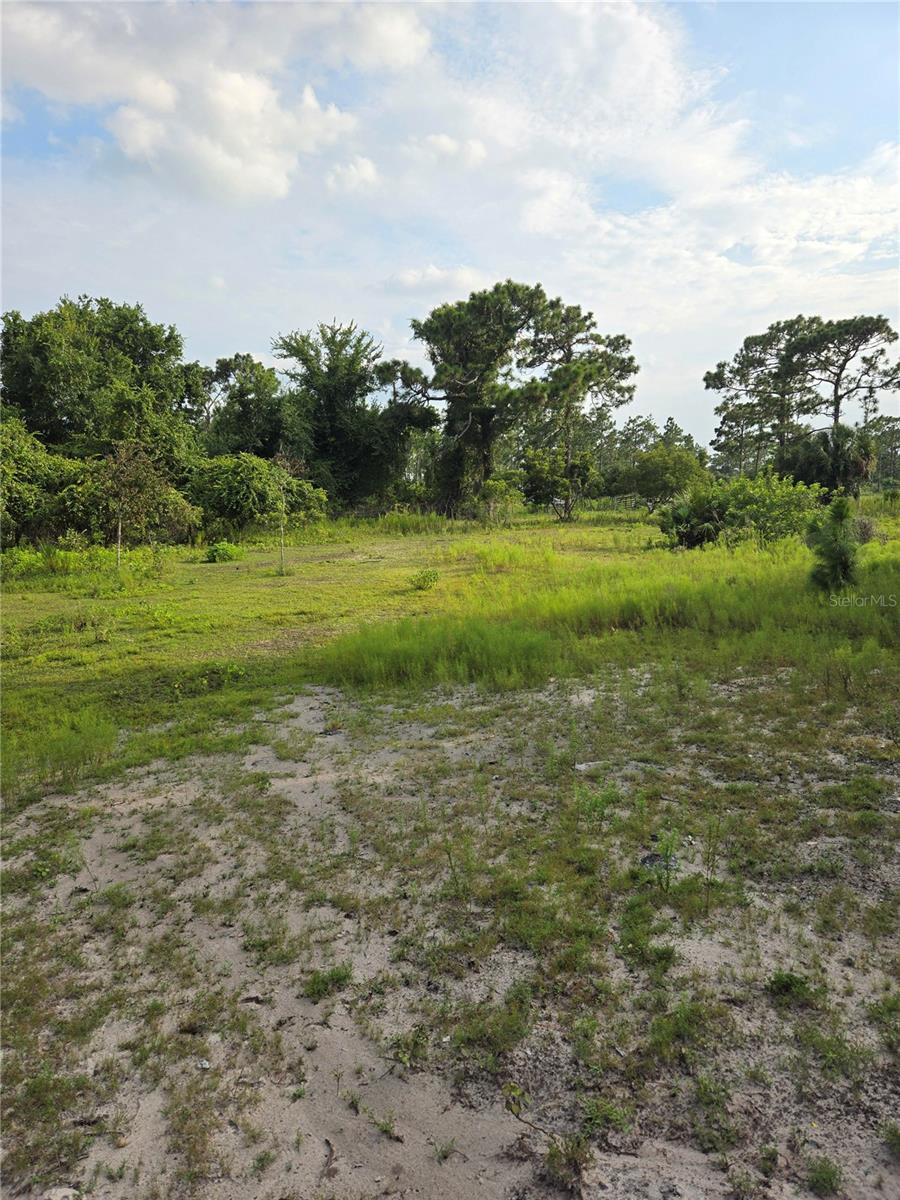 THE PINELANDS - Land